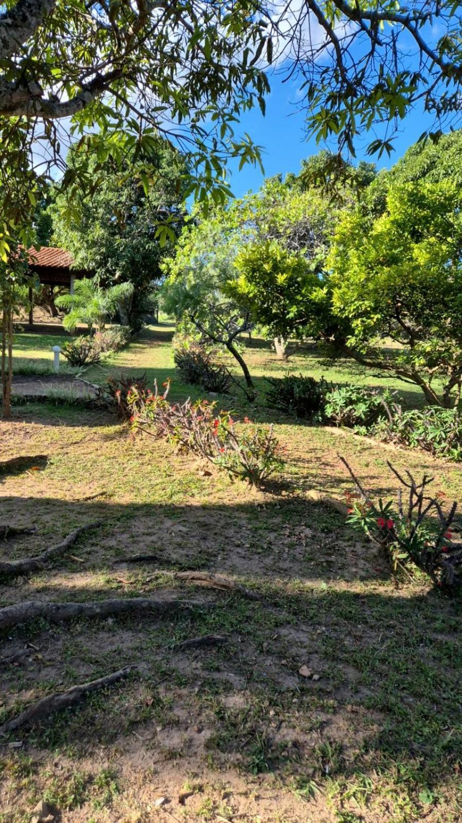 Villa Dos Pireneus Pirenópolis Exterior foto